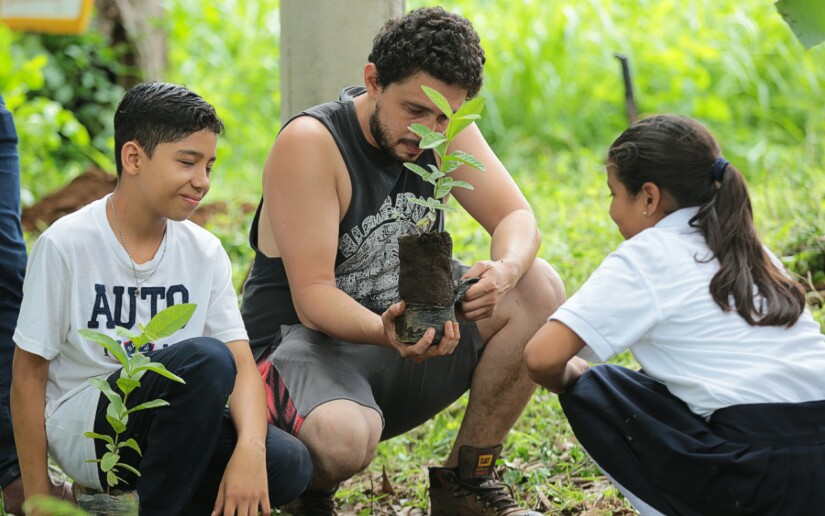 reforestacion